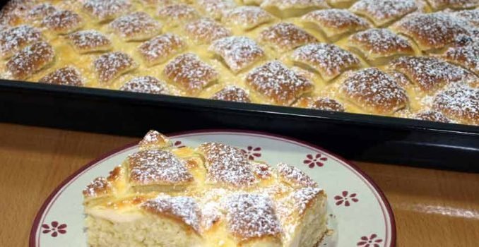 steppdeckenkuchen