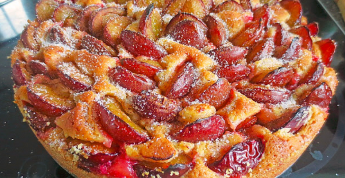Pflaumenkuchen-Einfacher-schneller-Kuchen-für-eine-Springform
